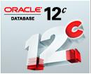 new Oracle12c software editions